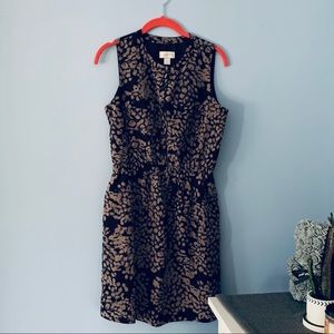 Ann Taylor Loft Black/Brown dress